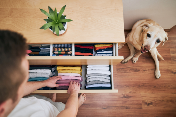 Organização Eficiente: Dicas para Manter seu Lar Solitário Sempre Arrumado