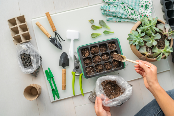 Jardinagem em Ambientes Internos: Como Cultivar Plantas e Flores em Espaços Pequenos