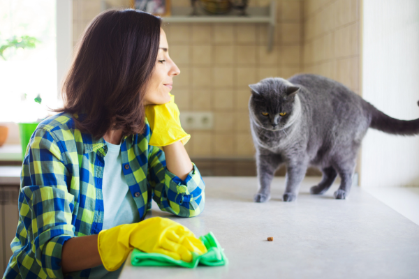 Limpeza com Patas: Como Organizar Armários de Produtos de Limpeza em Lares com Animais de Estimação